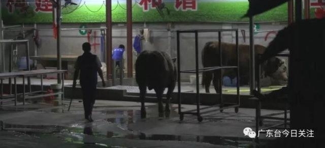 ���ˣ���ݸ������������������עˮţ��