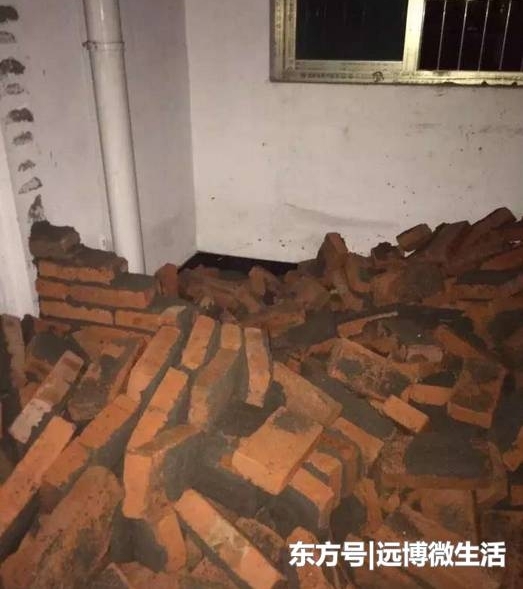 ���ڹ��������﷿��, ȴ���⸸�׺��׸�Ķ���, ����˵����
