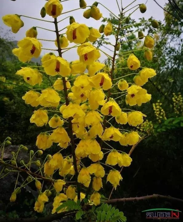 ¿�й���ƺ���ڶ��졷
