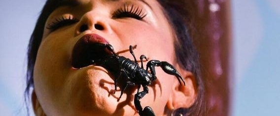 ̩��Ů�ӳ�Ы��ʮ�꣬�κ����˶�����Ȣ��Ϊ��