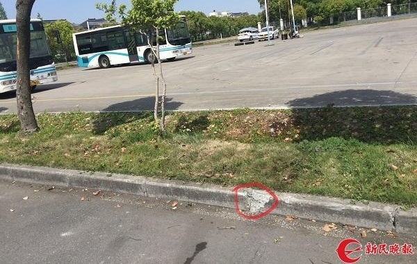 �Ϻ�����ҵ���飺�ж��١����⡱�����Բ��������ж�����������������