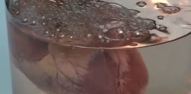 �����ڲ��г�����һ��������ʵ�飬�����������ˡ����桱��һĻ
