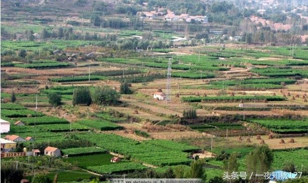 ũ��˼��������������ô��,����ũ����ѧѧ,����ũҵ�ܳ�Ϊ�����