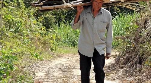 60岁的农村老人,交不起养老保险怎么办?专家:每月还有75元能领
