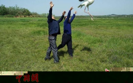 ���ݶ��������ڰ��ճ���������ɹ��ŷ�