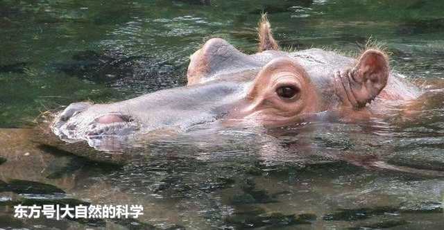 ʱ������, ��ѧ����Ȼ�޷�֪�����Ժ�����ҧ����