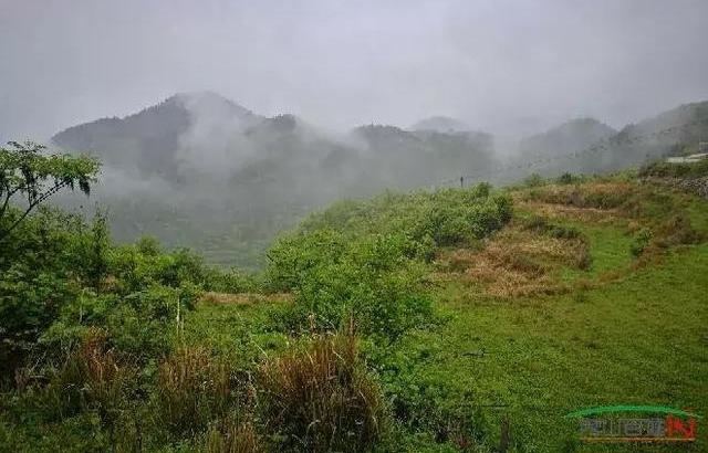 ¿�й���ƺ���ڶ��졷