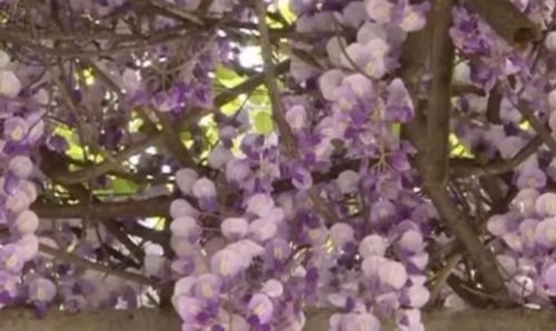 ����ס����԰������150�����ˣ�������ô����