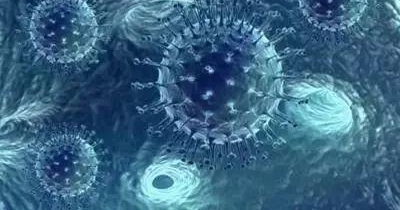湖北发现诺如病毒病例!如果出现这些症状要注意
