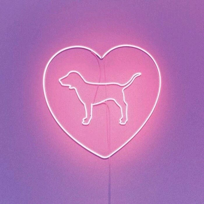 :ϲĩõ