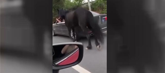 ���������ޱ��� ���������ܷ�������Ը���Ͽ���