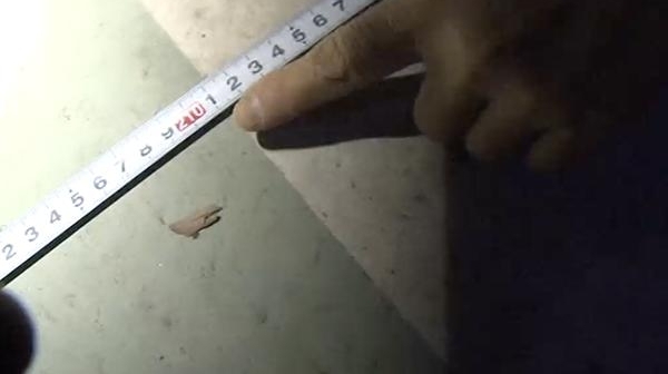 ͣ��λ����＂����＂ ��������ÿ�����������³�
