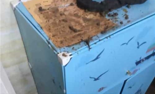 ��С����������ռ Ů�����ھ�����ˮ��ʾ����