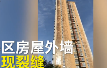 ��¥��ǽ������֩��������ҵ����ϸһ������һ���亹������ס��ȥ