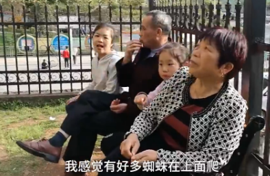 ��¥��ǽ������֩��������ҵ����ϸһ������һ���亹������ס��ȥ