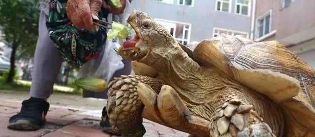 ��Ѯ���̴��޹�����ɷ羰��������̫�ã����������˼���