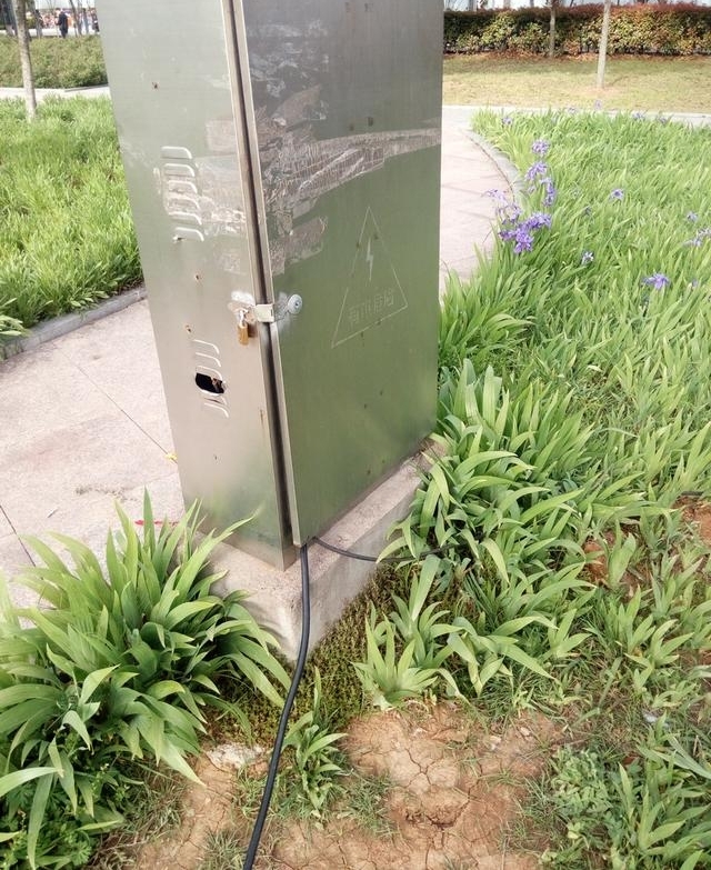 信阳市百花园有“电耗子”