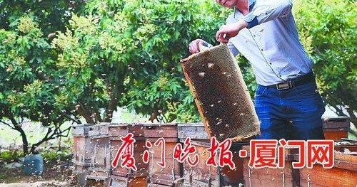 ��ũ���ݻ��ڸϸ����ء��ŷ���ۡ� һ����10���������۷䡰���С�