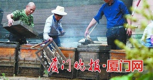 ��ũ���ݻ��ڸϸ����ء��ŷ���ۡ� һ����10���������۷䡰���С�