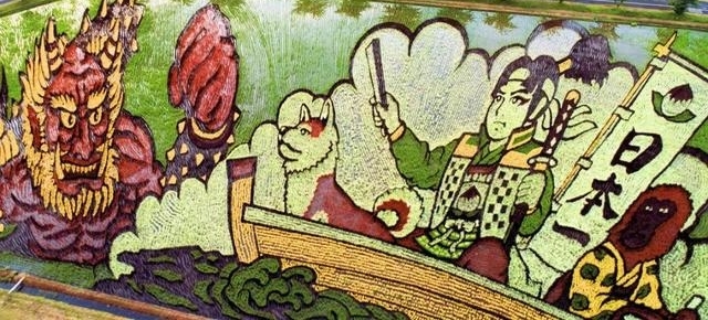 日本人种水稻竟然种出一幅画,稻田变旅游胜地