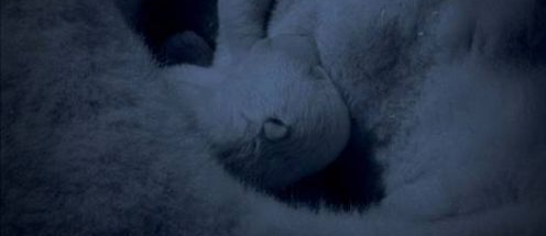 �ⲿ��׷�����Ƭ������٣�����9.8��Ӣ��Ƭ��ȴ��������