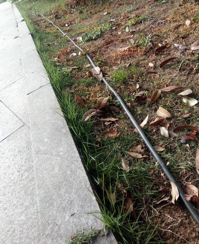 信阳市百花园有“电耗子”