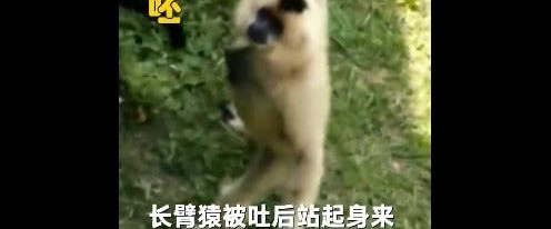 ���賯����Գ�¿�ˮ����������һ���£��ɷ����������޶�
