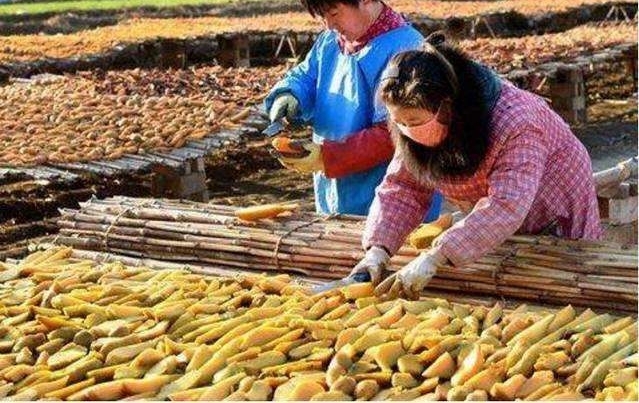 ��Ů�ֺ�����ͬ�峰Ц, һ��С�����ô������