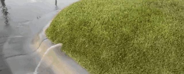 ���ӷ���Ժ�ӵĲ�ƺ�����˲��٣�����ýŲ����³�����һĻ