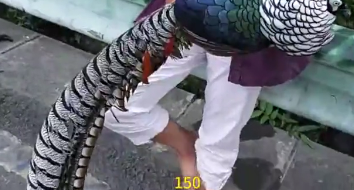 ũ���Ȳ�ʶ���ֲ�������·��150Ԫ�����������·�˿���������