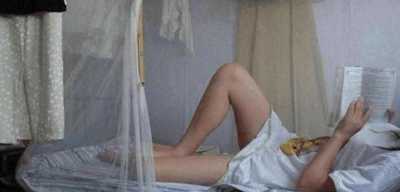 40������ƭ��15��Ů��ѧ��, һ������Ů��ȫ������
