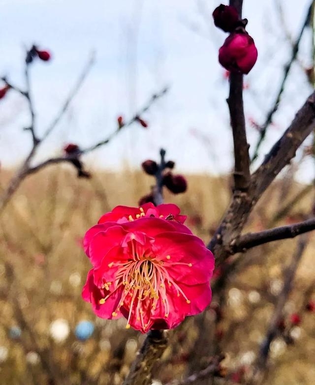 �����Ĵ�������������������ߵľ�ɫ����ڴ�ҵ��۾��