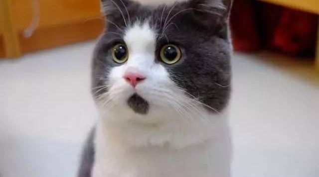 ��ʵ�项Ϊʲô�����ڼ���վ�ڴ�绰��ʵ��������ж�ֲ�