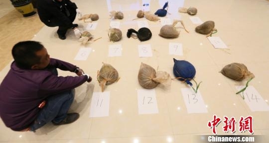 南宁海关破获穿山甲走私案 现场查扣活体14只
