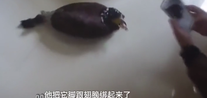 女子买奇物给朋友补身体,公安一看被吓出一身冷汗,幸好救下来了