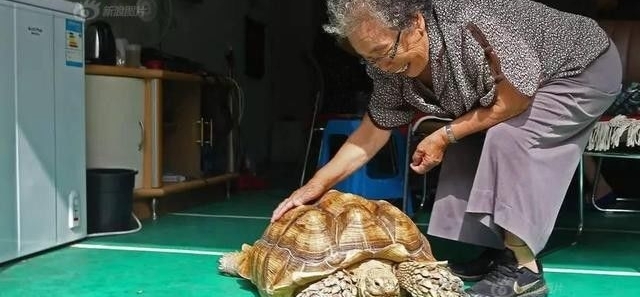 ��Ѯ���̴��޹�����ɷ羰��������̫�ã����������˼���