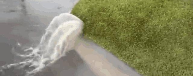 ���ӷ���Ժ�ӵĲ�ƺ�����˲��٣�����ýŲ����³�����һĻ