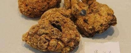 生完孩子后,亲妈一定要她把胎盘吃了,这些说法让她想骂人
