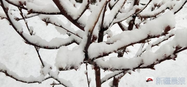 �½����磺�������봺�����Լ��