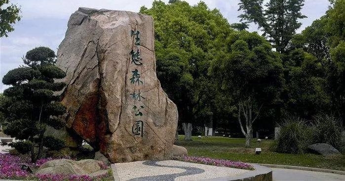 һ������ӵ�д��54���ںϷ���ʲôˮƽ�����꾪���ˡ���