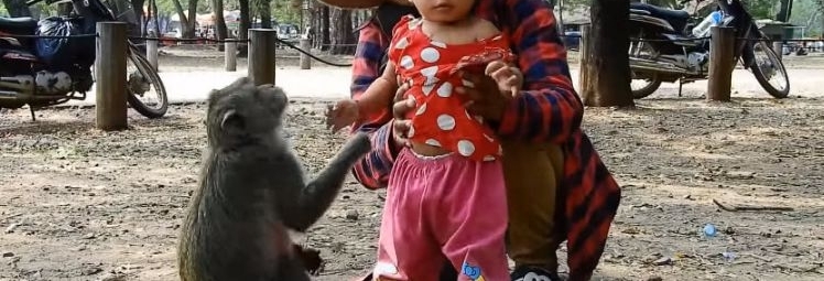 小妹妹在公园玩耍,没想到回家时猴子抱住女孩不让走,众人笑喷
