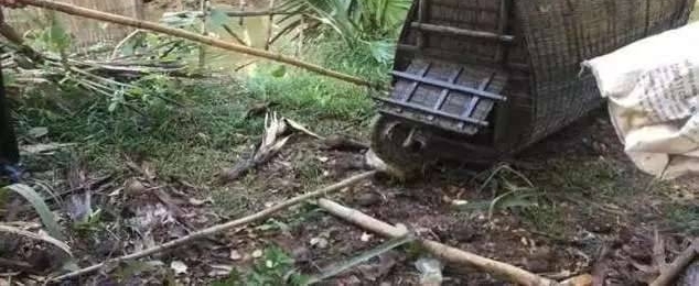 ũ�����Ӻӱߵ���ŵ�������׽��Ϻ������ȴ׽�������Ȼ����