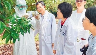 台湾农业缺工问题成“老大难”