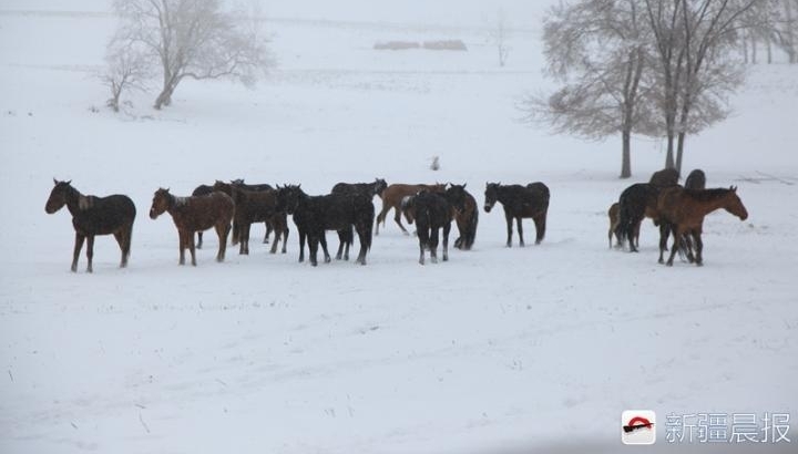 �½����磺�������봺�����Լ��