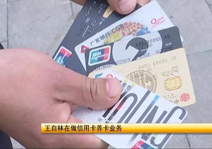 男子与锛偼?杲伙紓合租后被劝办6张卡 2年后欠款40万