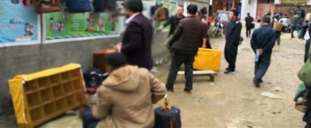�ϰ�ֻҰ����ü�����롰���ڡ� ����ɭ������ץ�������ħ