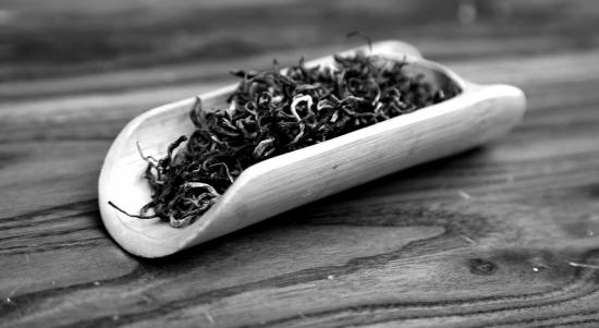 地道风物|“前些年才知道我们的懒汉茶叫白茶”