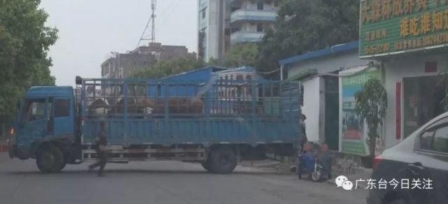 ���ˣ���ݸ������������������עˮţ��