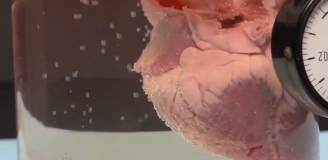 �����ڲ��г�����һ��������ʵ�飬�����������ˡ����桱��һĻ