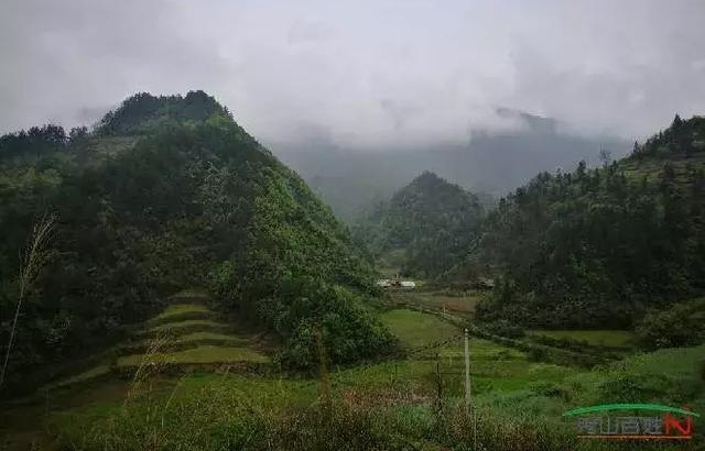 ¿�й���ƺ���ڶ��졷